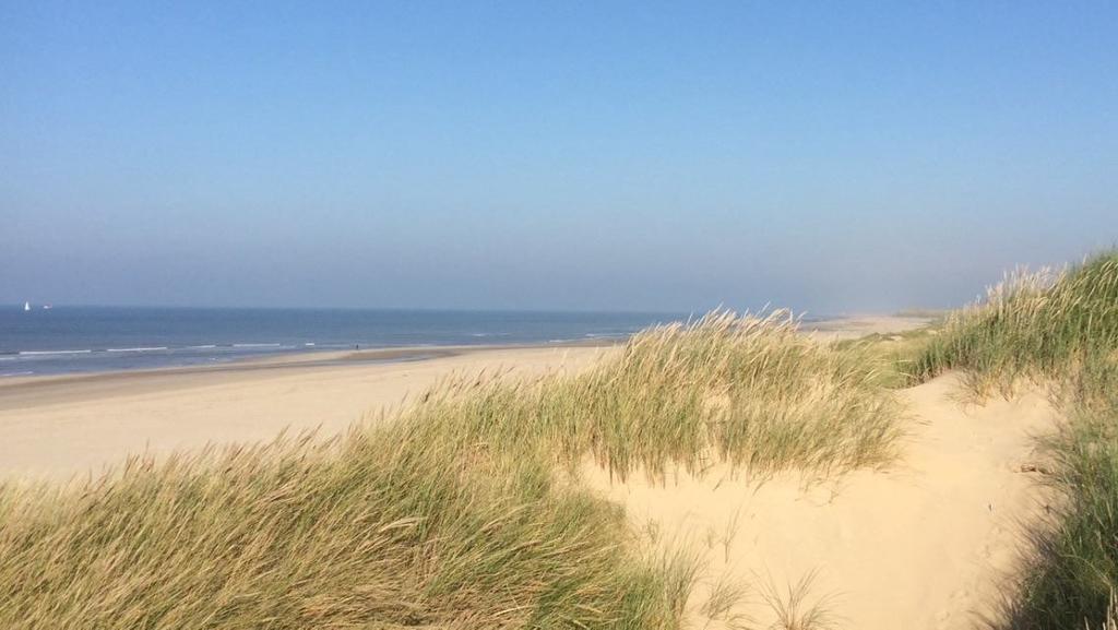 De Blaauboer, Vakantiehuisje 에크몬드안지 객실 사진