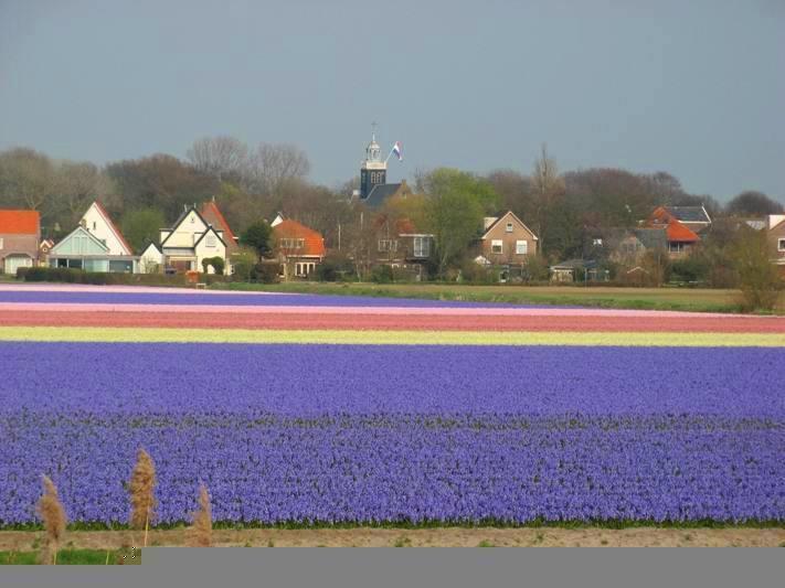 De Blaauboer, Vakantiehuisje 에크몬드안지 객실 사진
