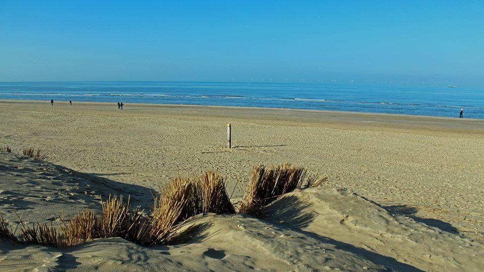 De Blaauboer, Vakantiehuisje 에크몬드안지 외부 사진